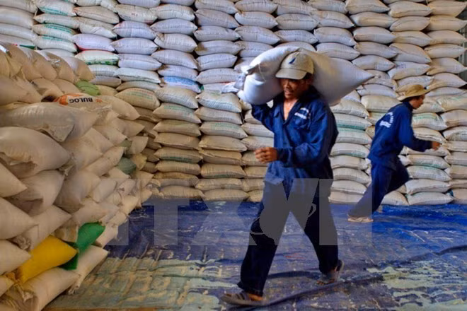 Protection des forêts : Thanh Hoa recevra plus de 50.000 tonnes de riz ảnh 1 Protection des forêts : Thanh Hoa recevra plus de 50.000 tonnes de riz ảnh 1
