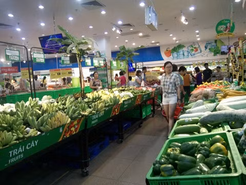 Dà Nang met le cap sur l’agriculture high-tech ảnh 2