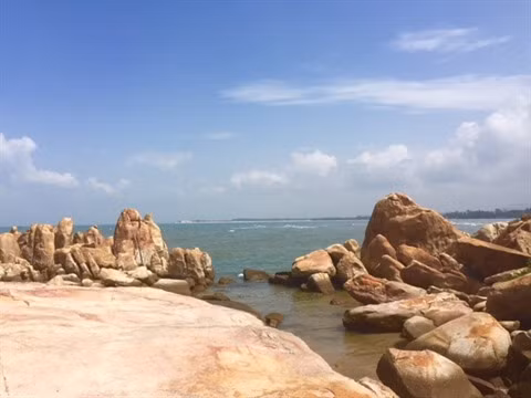 Binh Thuân table sur un développement durable ảnh 1