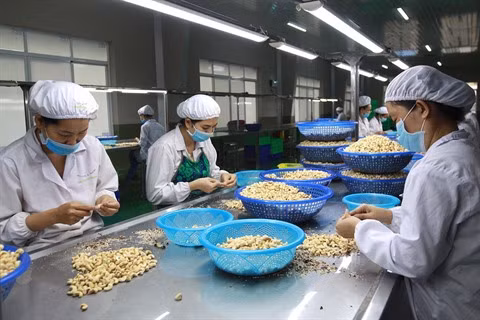 Défis pour l’exportation de produits agricoles vers l’Union européenne ảnh 1