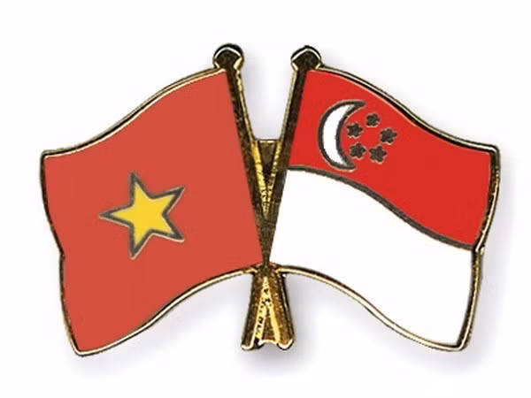 Hô Chi Minh-Ville célèbre les 45 ans des relations diplomatiques Vietnam-Singapour ảnh 1