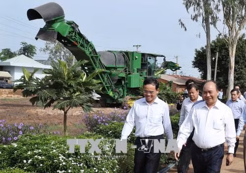 Le Premier ministre visite des établissements agricoles à Tay Ninh ảnh 1 Le Premier ministre visite des établissements agricoles à Tay Ninh ảnh 1