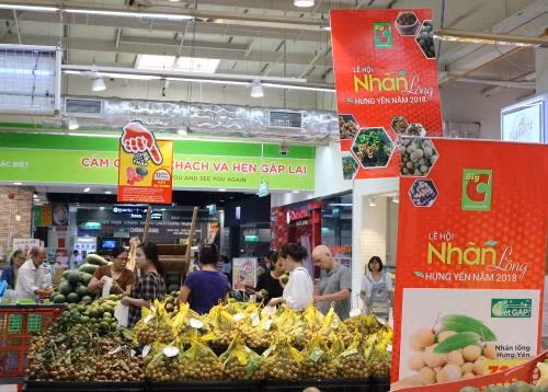 Le longane de Hung Yen vendu dans les supermarchés de Big C ảnh 1 Le longane de Hung Yen vendu dans les supermarchés de Big C ảnh 1