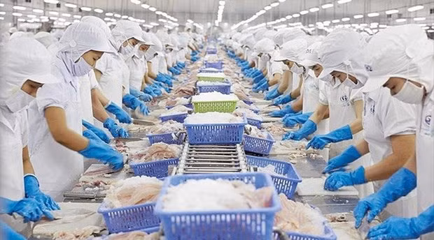 Le Vietnam est le 3e fournisseur de produits aquatiques des États-Unis ảnh 1