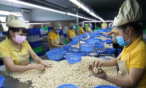 Les exportations vietnamiennes vers le Cambodge en forte hausse ảnh 1 Les exportations vietnamiennes vers le Cambodge en forte hausse ảnh 1