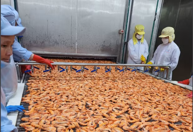 UOB réduit ses prévisions de croissance du PIB du Vietnam pour 2023 à 5% ảnh 1 UOB réduit ses prévisions de croissance du PIB du Vietnam pour 2023 à 5% ảnh 1