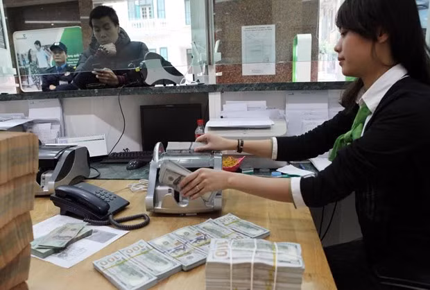 Malgré les fluctuations du taux de change, le dong vietnamien s’appréciera à nouveau ảnh 1 Malgré les fluctuations du taux de change, le dong vietnamien s’appréciera à nouveau ảnh 1