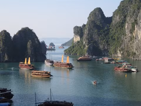 Alliance pour protéger la baie de Ha Long et l’archipel de Cat Bà ảnh 1