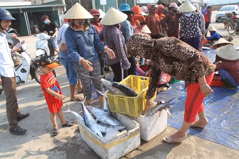 Formosa: la qualité de l’environnement maritime est "stable" ảnh 1