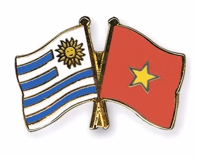 Inauguration du bureau du consulat d'Uruguay à Ho Chi Minh-Ville ảnh 1