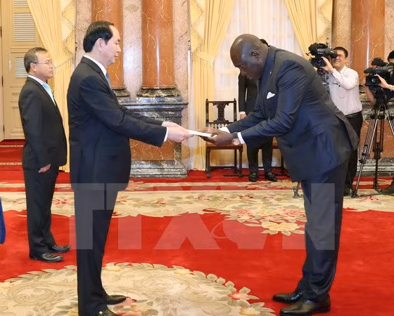 Le président vietnamien reçoit de nouveaux ambassadeurs ảnh 3