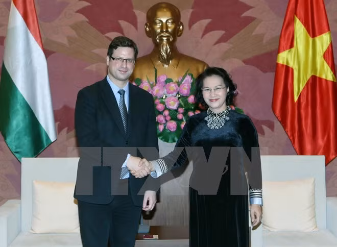 Promotion de la coopération législative Vietnam-Hongrie ảnh 1