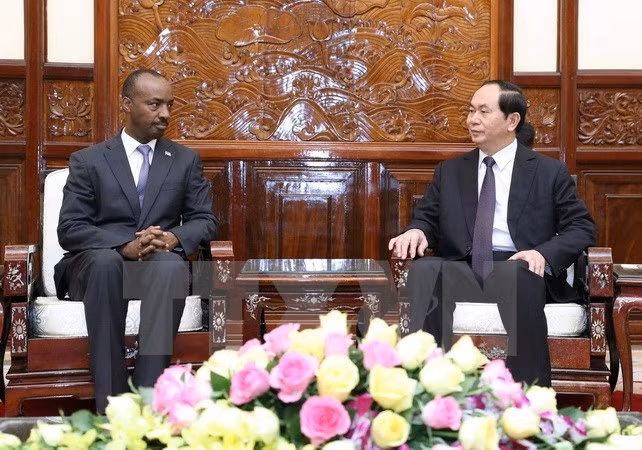 Le président vietnamien reçoit de nouveaux ambassadeurs ảnh 4