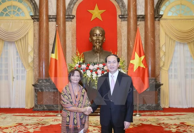 Le président vietnamien reçoit de nouveaux ambassadeurs ảnh 2