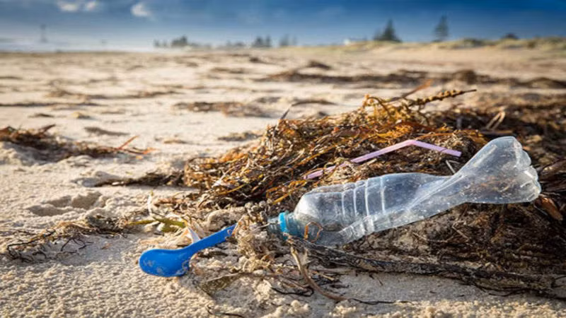 Le Vietnam pionnier dans l’élaboration d'un accord international pour réduire la pollution plastique ảnh 2