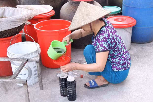 Nam Dinh : la fabrication artisanale de la saumure de poisson à Sa Chau ảnh 3