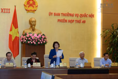 Clôture de la 49e réunion du Comité permanent de l’AN ảnh 1