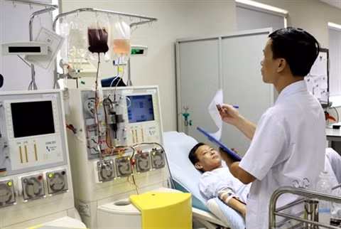 Un jeune Docteur vietnamien consacre sa vie aux cellules souches ảnh 2