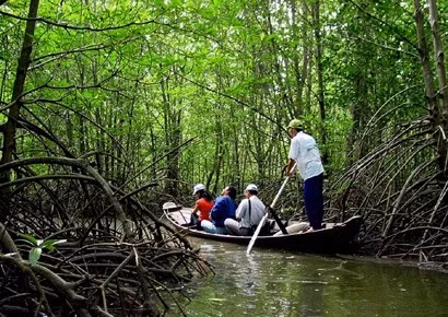 Lutter contre l’érosion de la biodiversité au Vietnam ảnh 1 Lutter contre l’érosion de la biodiversité au Vietnam ảnh 1