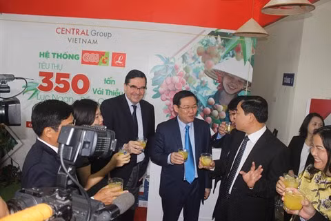 Central Group s'engage à consommer 350 tonnes de litchi de Luc Ngan ảnh 2