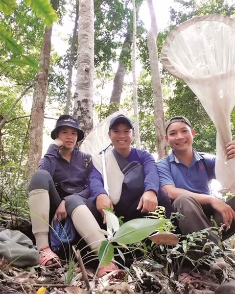 Libellules, une "mine d’or" à découvrir au Vietnam ảnh 2