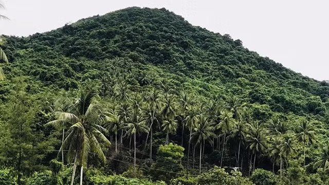 L’île de Hon Son, une nouvelle destination touristique prometteuse ảnh 1
