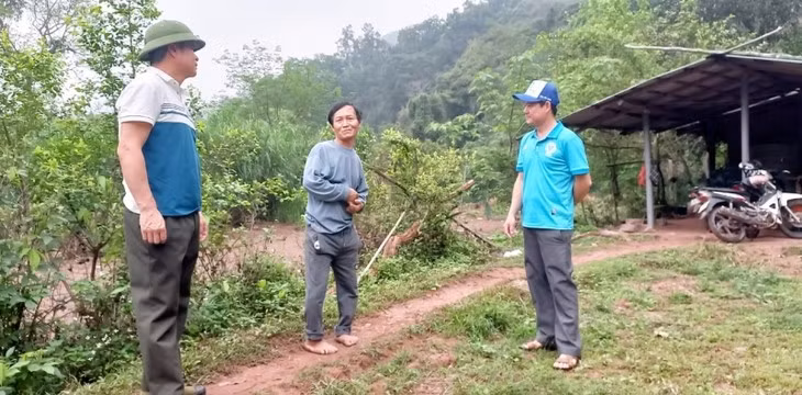Comment les Dao de Nà Hac protègent-ils leur forêt? ảnh 1