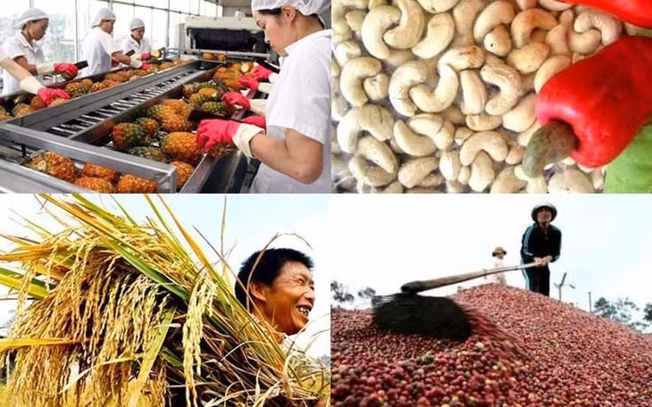 L’agriculture en quête d’une stratégie de compétitivité ảnh 1