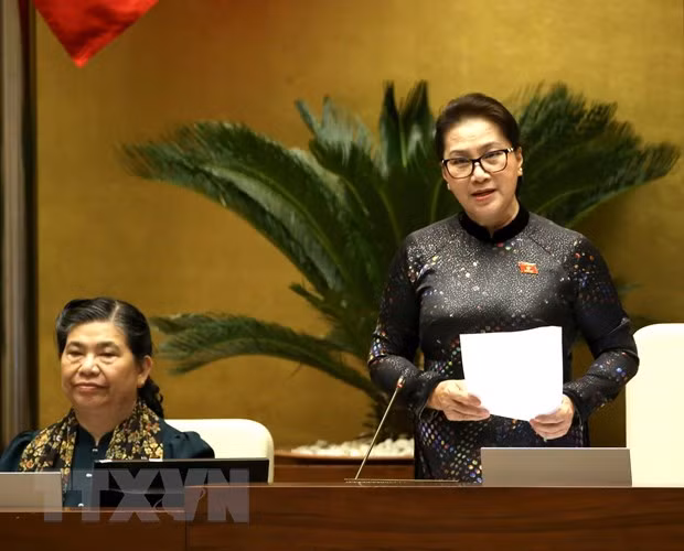 La présidente de l’AN demande au gouvernement d'appliquer efficacement les résolutions de l’AN ảnh 1