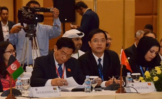 Le Vietnam à la première Conférence du Conseil exécutif de l’APA ảnh 1