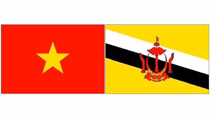 Vietnam - Brunei : volonté commune de dynamiser la coopération ảnh 1 Vietnam - Brunei : volonté commune de dynamiser la coopération ảnh 1