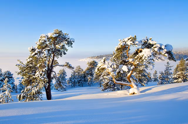 Exposition photographique "La nature du Nord de la Russie" ảnh 1