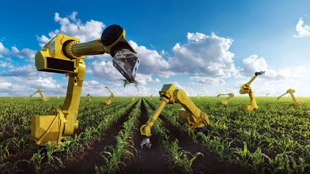 Des sociétés étrangères cherchent des opportunités d’investir dans l’agriculture high-tech ảnh 1