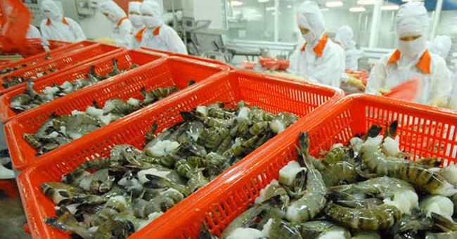 Aquaculture : L’objectif de 10 milliards de dollars d’exportation en 2018 s’avère difficile ảnh 1