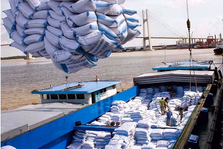 Élever la position du riz vietnamien à l’international ảnh 1 Élever la position du riz vietnamien à l’international ảnh 1