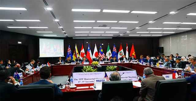 La réunion ministérielle du TPP à Da Nang ảnh 1