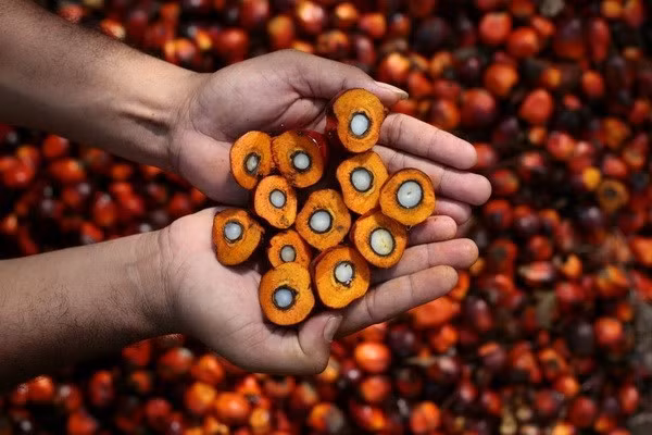 Indonésie et Malaisie resserrent leur coopération économique ảnh 1 Indonésie et Malaisie resserrent leur coopération économique ảnh 1