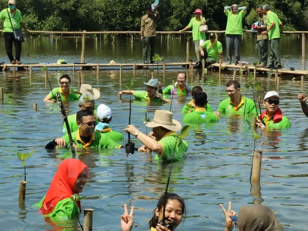 La Journée de la mangrove de l’ASEAN ảnh 1