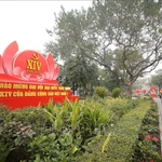 Des panneaux, des affiches et des emblèmes du 14e Congrès national du Parti sont déployés dans les rues de Hanoï. Photo : VNA