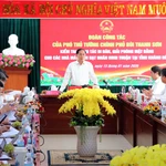 Le vice-Premier ministre Bui Thanh Son s'exprime lors de la réunion. Photo: VNA