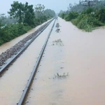 Photo d'illustration: thuonghieucongluan.com.vn