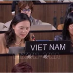 L’ambassadrice Nguyen Thi Van Anh, cheffe de la Délégation permanente du Vietnam auprès de l’UNESCO, présente l’initiative lors de la 222ᵉ session du Conseil exécutif de l’UNESCO. Photo : VNA