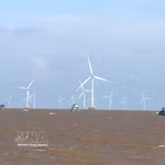 Le parc éolien offshore de la société par actions Tien Giang Wind Power. Photo : VNA