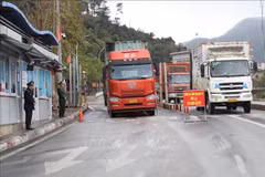 Garantie de la fluidité des activités commerciales frontalières pendant le Nouvel An lunaire