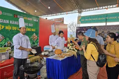 Kon Tum: 120 plats à base de ginseng établissent un record national 