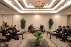 Ho Chi Minh-Ville veut renforcer la coopération avec les localités nord-coréennes