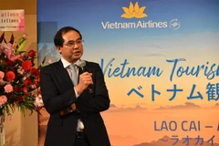 La province de Lao Cai appelle à davantage d'investissements japonais