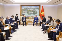 Le Vietnam invite les entreprises chinoises à participer aux projets d'énergie renouvelable