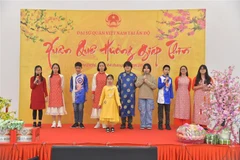 Les Vietnamiens à l’étranger se joignent aux célébrations du Tet