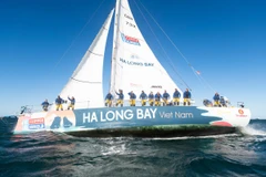 Quang Ninh dévoile sa beauté aux participants de la Clipper Round The World Race